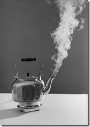 steam kettle