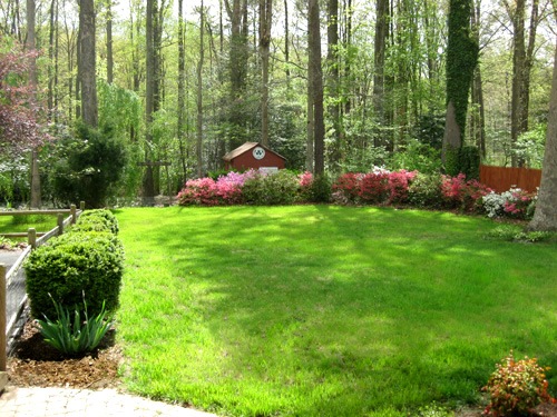 [large-grassy-backyard-landscaping-3[4].jpg]