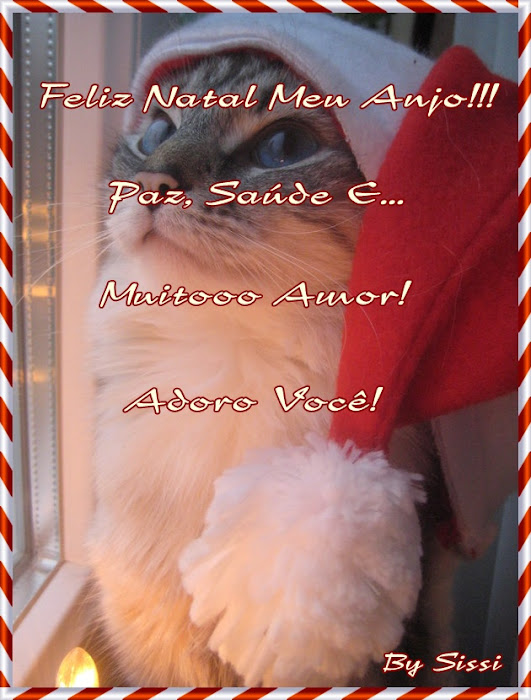 NATAL%20GATO%20REF.jpg