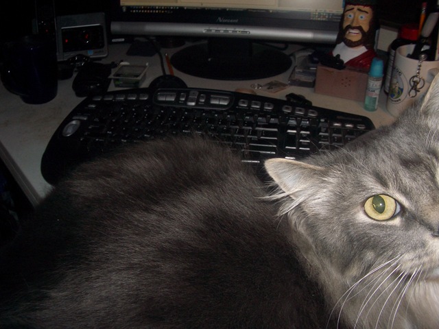 [Desk Cat 001[3].jpg]