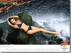 Kingfisher Calendar 2011_3