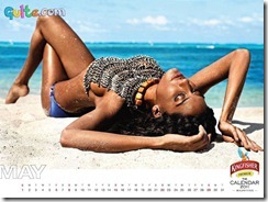 Kingfisher Calendar 2011_5