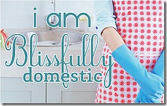 i-am-blissfully-domestic-apron