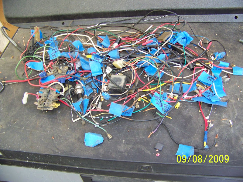 Image may have been reduced in size. Click image to view fullscreen.