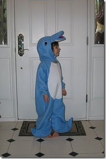dolphin(1) dolphin(1)