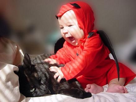 [fotos de gatitos (40)[2].jpg]