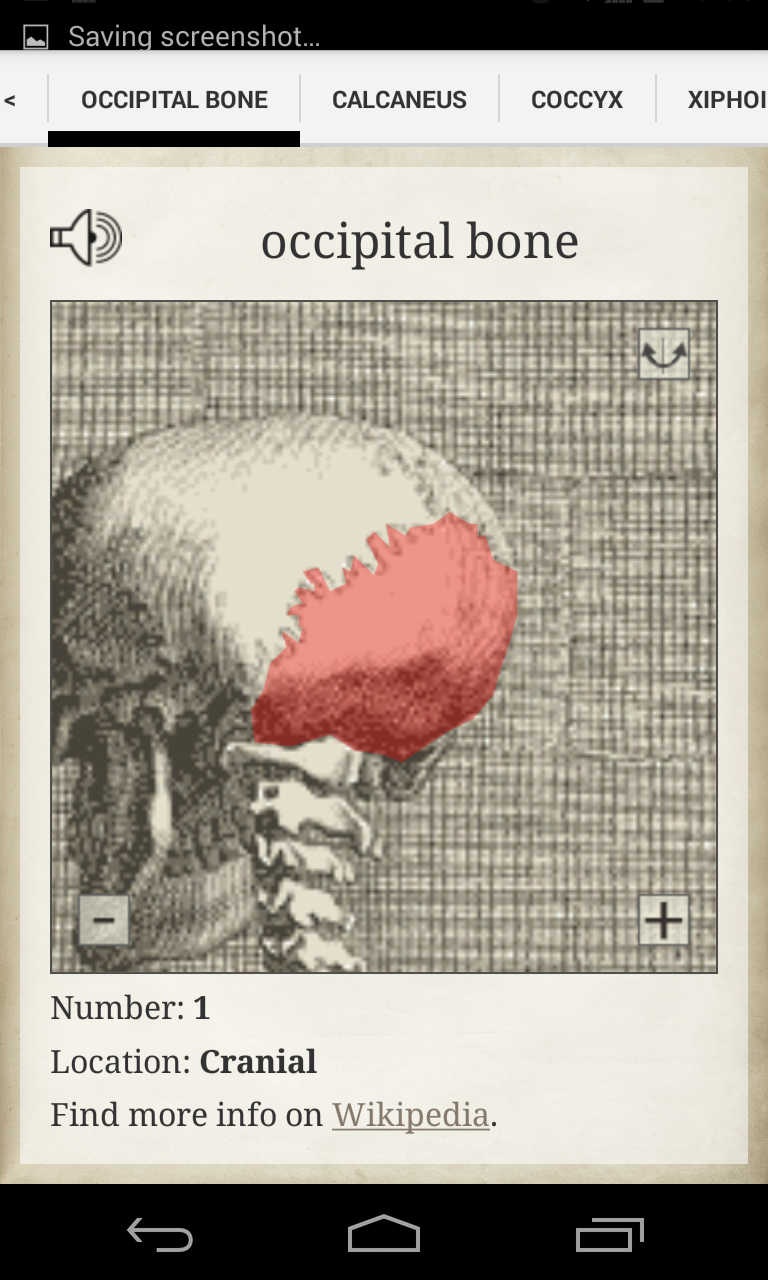 Bones Screen 2
