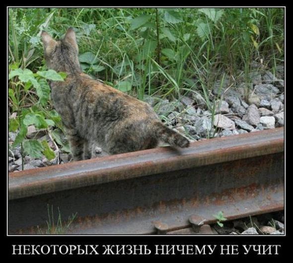 [5e128867995d3651fc756d2d170_prev4.jpg]