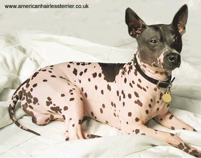 [clip_image0115.jpg]