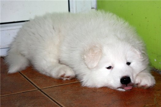 [clip_image0235.jpg]