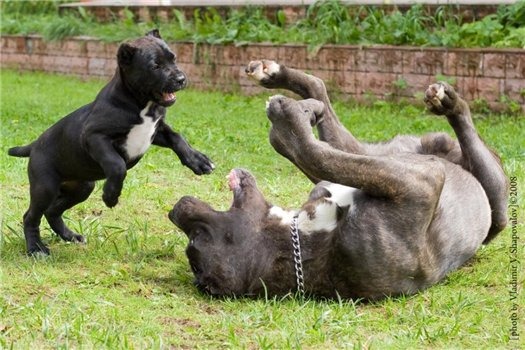 [clip_image0465.jpg]