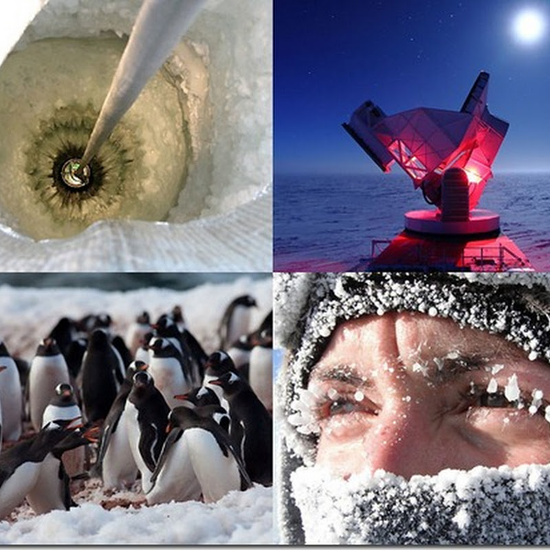 Антарктика в фотографиях (Часть 1)
