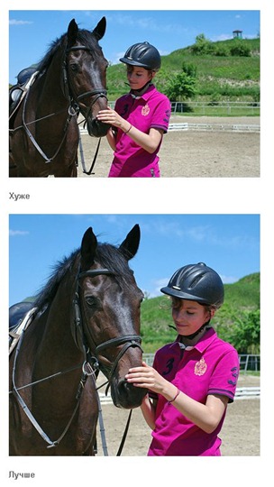 [clip_image007[7].jpg]