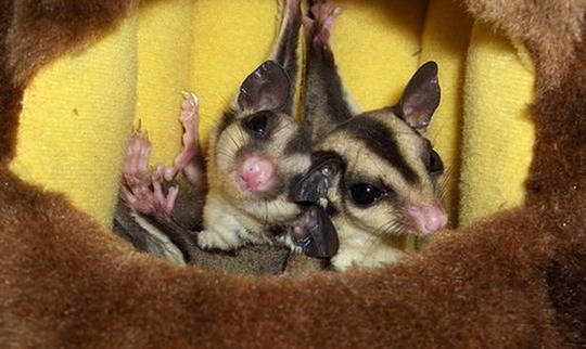 [clip_image004[4].jpg]