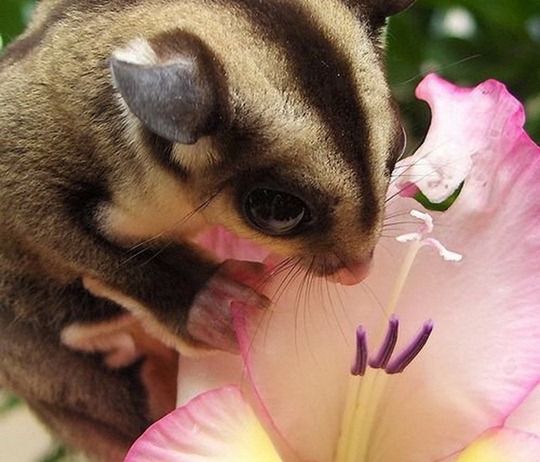 [clip_image027[4].jpg]