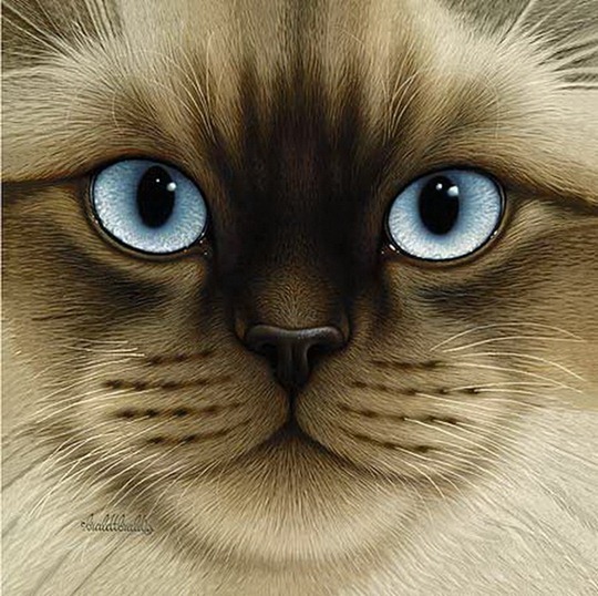 [clip_image009[4].jpg]