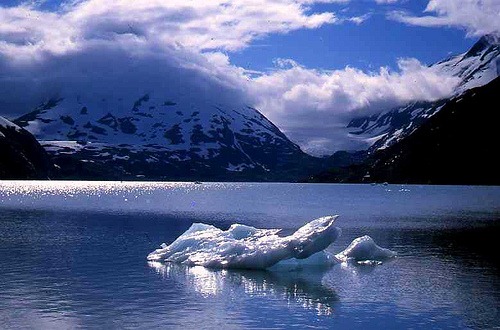 [2612920353_1b70fcda56[3].jpg]