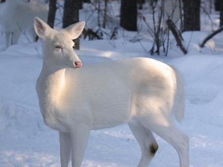 [without_photoshop_34[3].jpg]