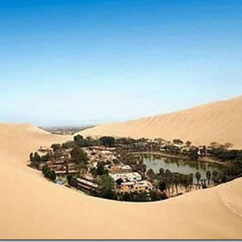 Невероятные оазисы пустыни