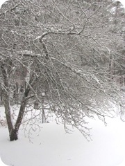 2010 snowstorm 5