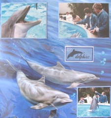 1986 Florida Sea World lge. dolphin