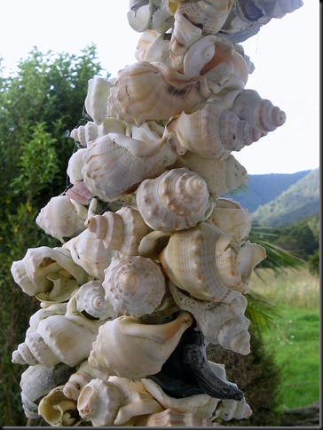 shells2