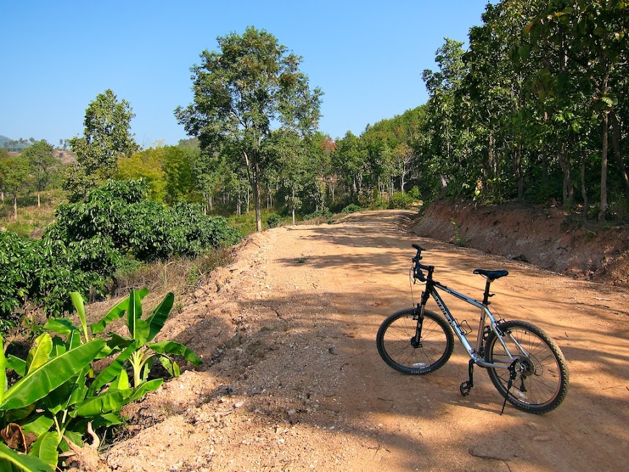 Trail%20%20003.jpg