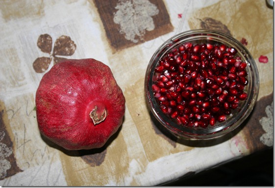 2010-11-21 Pomegranate
