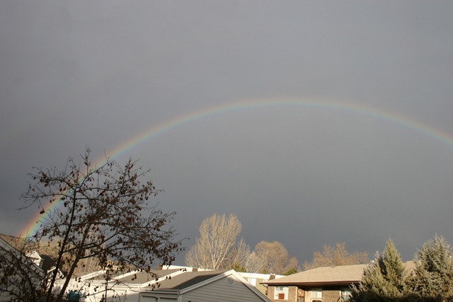 [2010-12-20 Rainbow (5)[5].jpg]