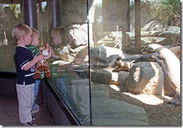 2011-05-13 Zoo (19)