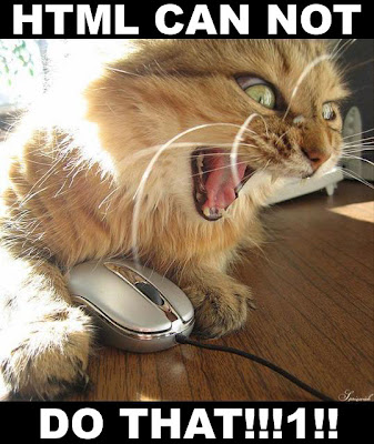 photo of a cat yelling at a computer html cannot do that