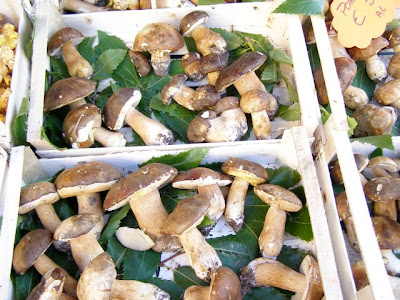 funghi mushrooms in italy
