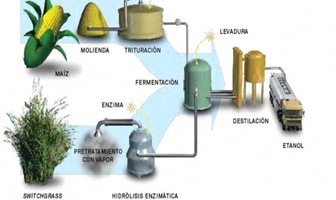 la-biomasa-biocombustible- la-biomasa-biocombustible-