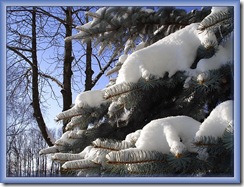 winter-days-tree