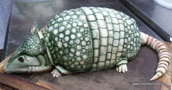 armadillo-cake.jpg