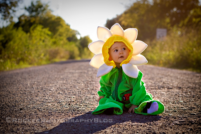 Rocker Photography Blog: Sunflower Baby!