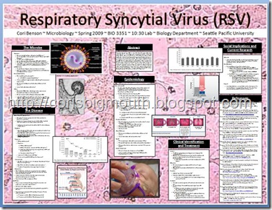 rsv poster