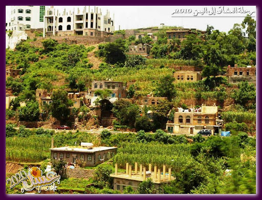 صور من مدينة اب اليمن