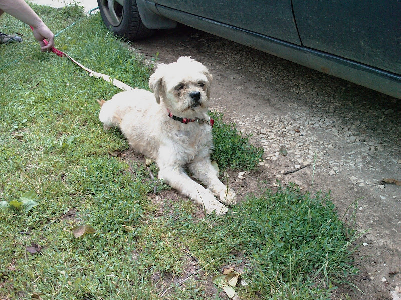 IMAG0450.jpg