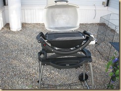 IMG_3969 IMG_3969
