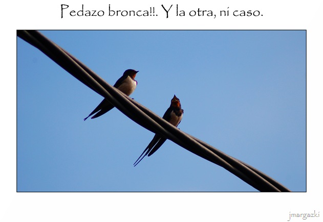 pedazo_bronca