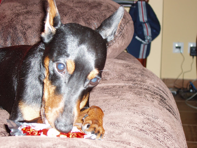 P1010550.JPG