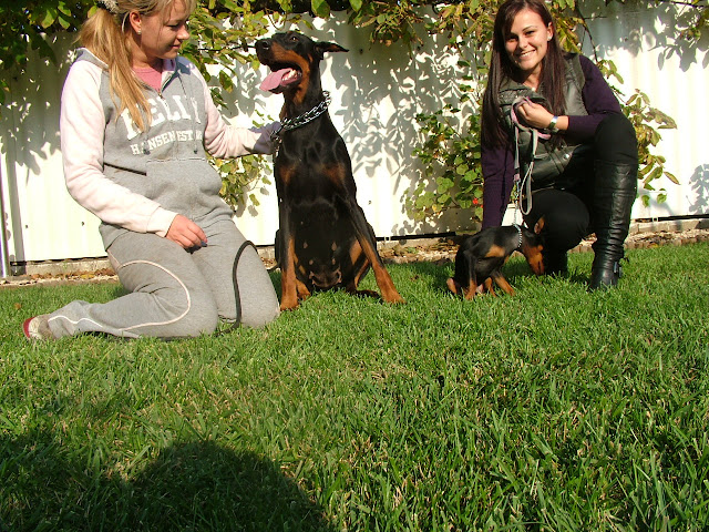 DSCF0870.JPG