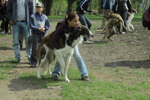 IMG_6223.JPG