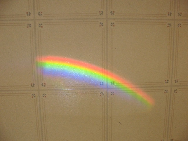 [rainbow[4].jpg]