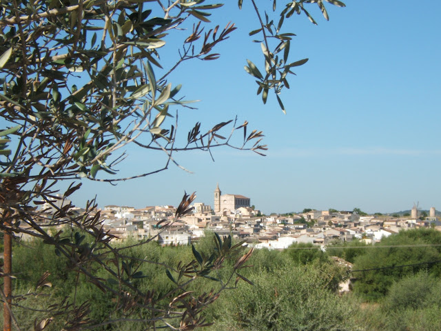 Finca Ferienhaus für 4-8 Personen in Santa Margalida/ Can Picafort, Mallorca