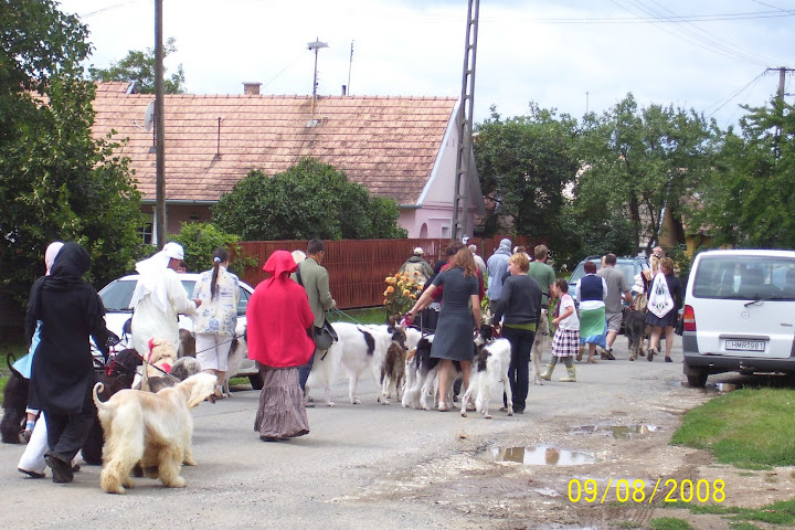 100_4091.JPG