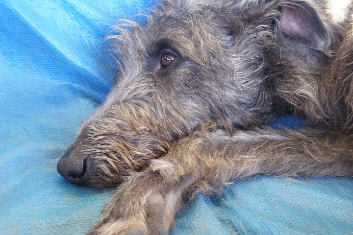 100_6425.JPG