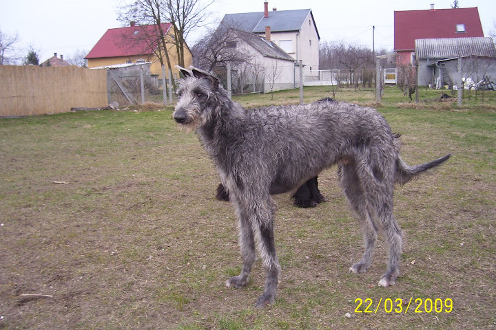 100_5413.JPG
