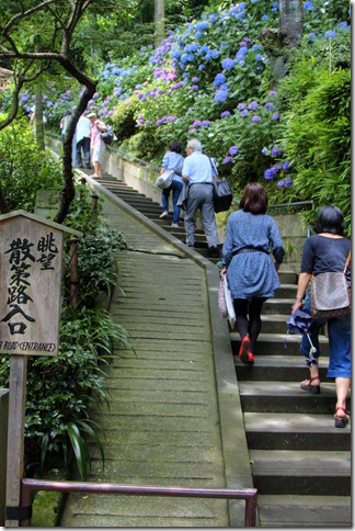The temple amongst a persuasion together with lots of flowers TokyoMap Hase-Dera Temple: Flowers